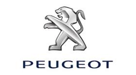 PEUGEOT 1444CA - ELEMENTO FILTR